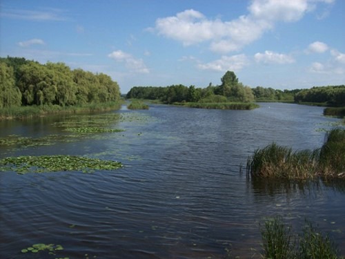 Klein-Balaton Kányavári Insel